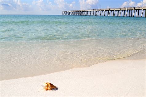 The 5 Best Beaches In Florida For Shells Of All Time Littles Life