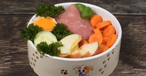 Our vet recommends hills and purina because of the extensive testing and research they put into their products. Vet Approved Dog Food Recipe https://ift.tt/2RBc4rp | Dog ...