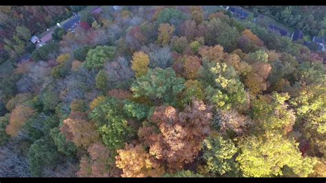 Eastern Kentucky Fall Colors Youtube