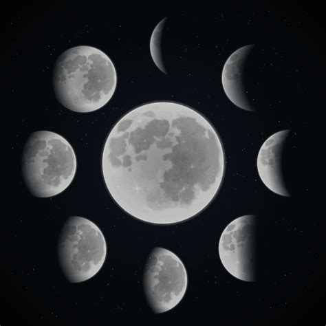 Free Moon Phases Svg