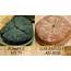The Bread Of ANCIENT ROME  Pompeiis Panis Quadratus YouTube In 2020