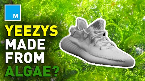 Kanye West Unveils Newest Yeezys Made With Algae Science