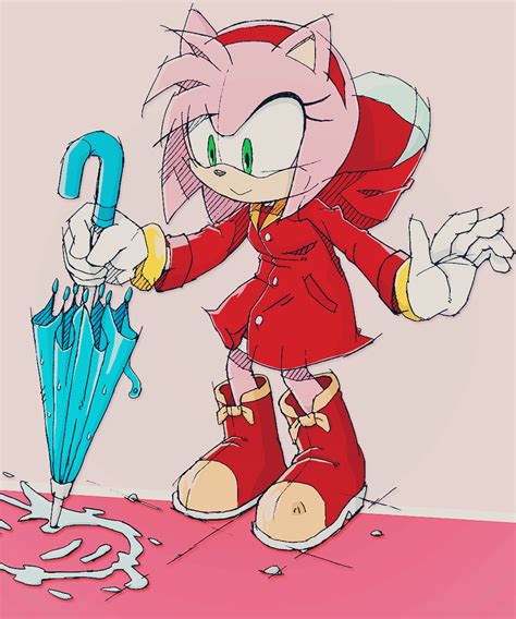 Pin By On Amy Rose Amy Rose Amy The Hedgehog Sonic An