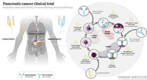 The Parker Institute for Cancer Immunotherapy and the Cancer Research Institute Announce First ...