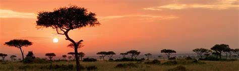 Serengeti National Park Tour Packages Ef Go Ahead Tours