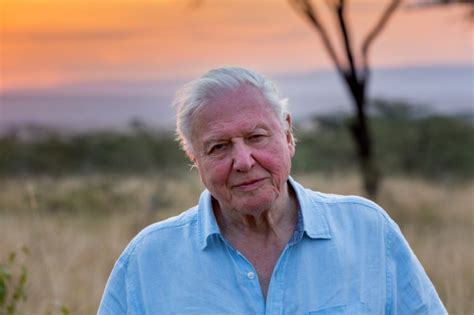 A Life On Our Planet Trailer David Attenborough Warns Human Beings