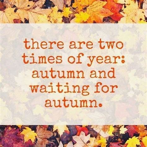 24 Jokes That Are Too Real For People That Love Autumn Autumn Quotes