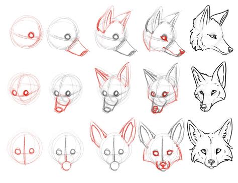 How To Draw Fox Head Sphere With Eyes Weird Cylinder For Muzzle
