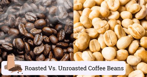 Roasted Vs Unroasted Coffee Beans A Quick Guide