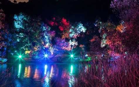 A Complete Guide To Enchanted Forest Of Light At Descanso Gardens