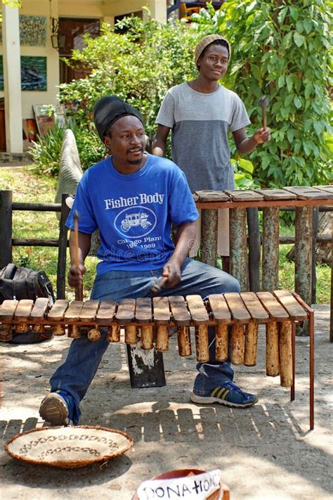 Man Playing A Xylophone Editorial Stock Photo Image Of Xylophone