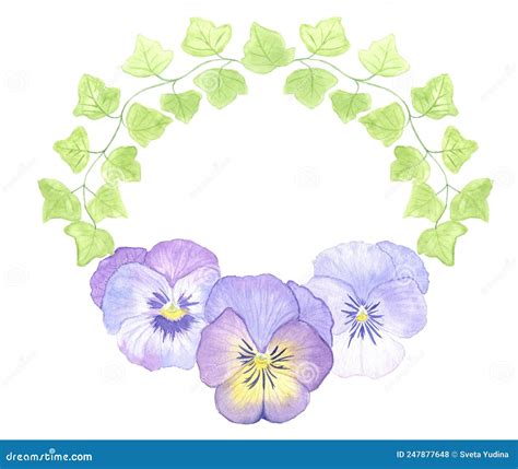 Watercolor Hand Ivy And Pansy Wreath Stock Photo Image Of Font