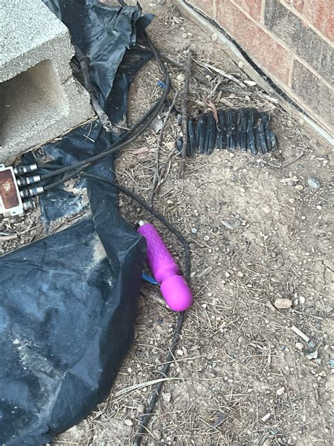 Somebody Keeps Leaving Sex Toys By My House R Weird