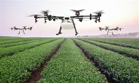 Is The Future Of Agriculture In Ai Discover Jkuat