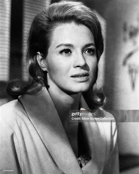 American Actress Angie Dickinson Circa 1960 Nachrichtenfoto Getty