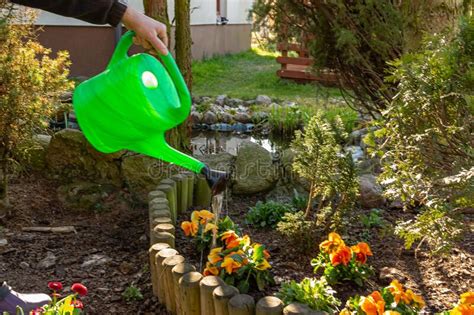 Watering Flowers With Watering Cans Stock Photo Image Of Care