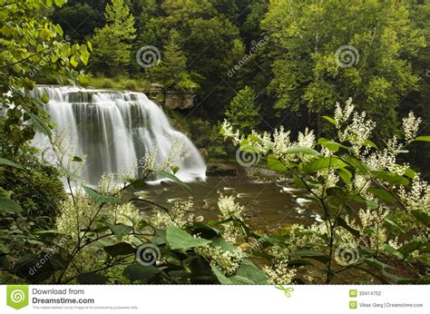 Waterfall With Lush Green Trees And Flowers Stock