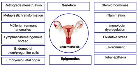 Summary Model For The Pathogenesis Of Endometriosis Download