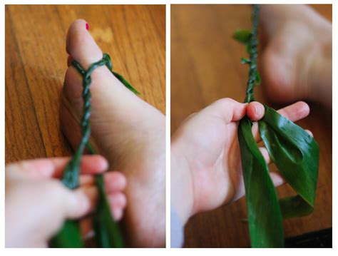 Sail By The Stars Making A Ti Leaf Lei