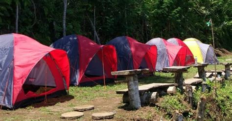 Disemua peringkat penggubal dasar atau pelaksana dasar. Sewa Peralatan Kemah dan Jual Perlengkapan Camping Di ...