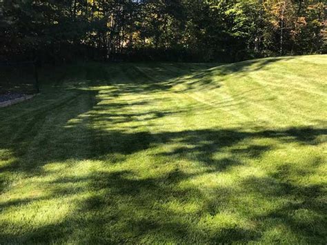 Lawn Care Work Gallery Gatsby Grounds Company