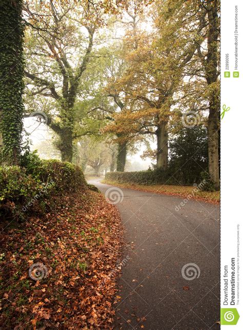 Road Winding Through Foggy Autumn Forest Stock Image Image Of Morning