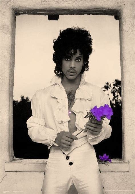 Purple Roses Prince Prince Poster Prince Rogers Nelson Prince