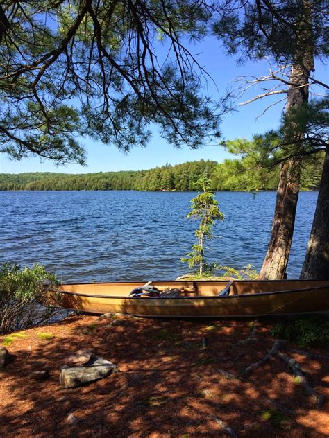 Into The Wild With Jimmy Canoe Trip Algonquin Provincial Park Canada