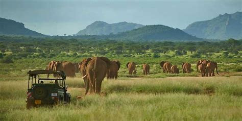 Nairobi 3 Day All Inclusive Samburu National Park Safari Getyourguide