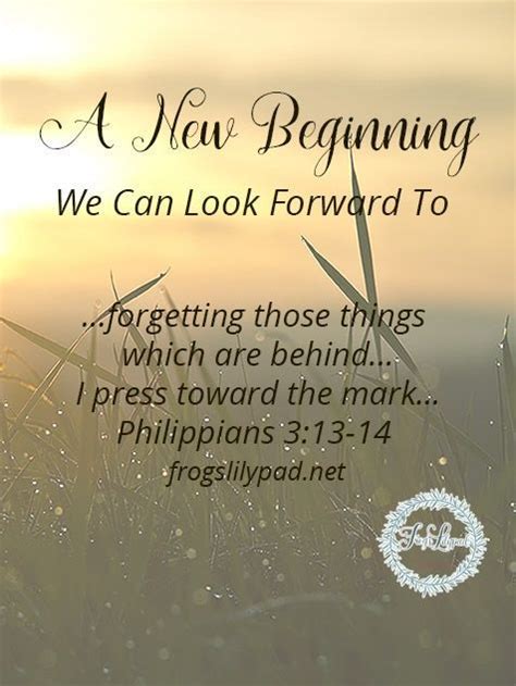 A New Beginning We Can Look Forward To New Beginning Quotes Quotes