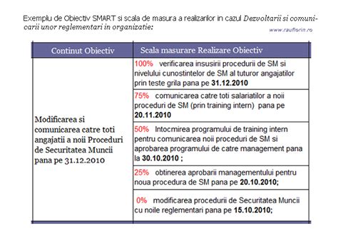 Florin Rau Obiective Smart Si Performanta