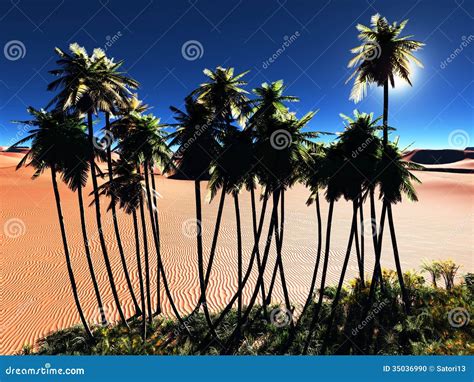 African Oasis Stock Photo Image Of Beautiful Desert 35036990