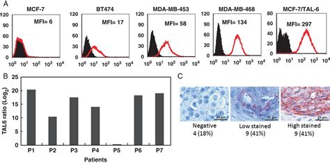 A Novel Hla A Restricted Ctl Epitope Of Tumor Associated An