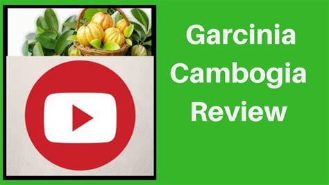 garcinia cambogia review youtube