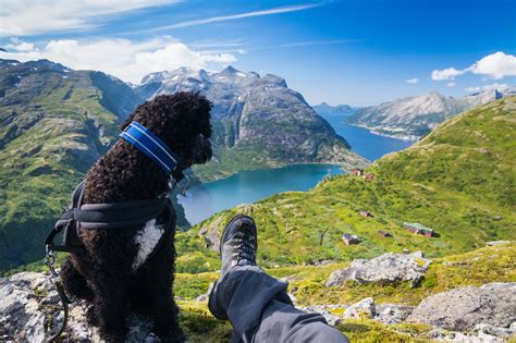Wallpaper Sports Landscape Mountains Nature Norway Summer Fjord