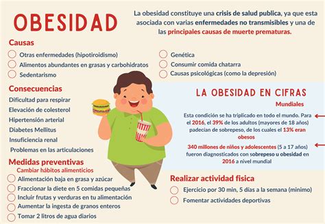 Infografia Obesidad Causas Consecuencias Medidas Preventivas La My My