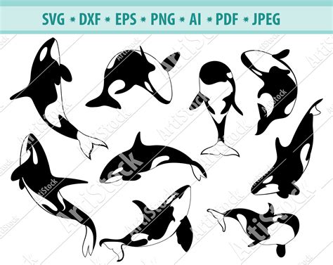 Orca Svg Bundle Killer Whale Svg Killer Whale Clipart Cut Etsy Canada