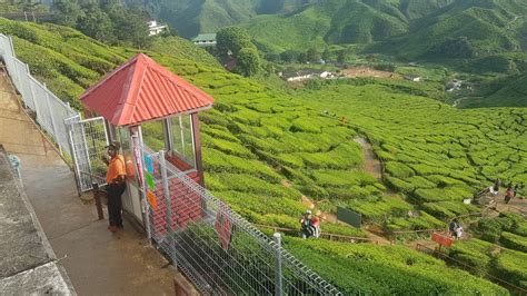 Home » pahang » tanah rata » ladang teh bharat » 39000. mrkumai.blogspot.com: Caj masuk ke Ladang Teh Bharat di ...