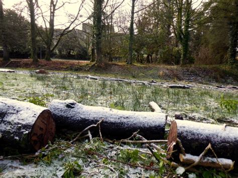 Frosty Logs Cranny © Kenneth Allen Cc By Sa20 Geograph Britain