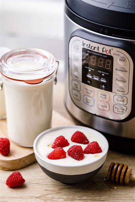 Unsalted butter, whole milk, he. Mindblowing Instant Pot Vanilla Yogurt Recipe (ERMAHGERD ...