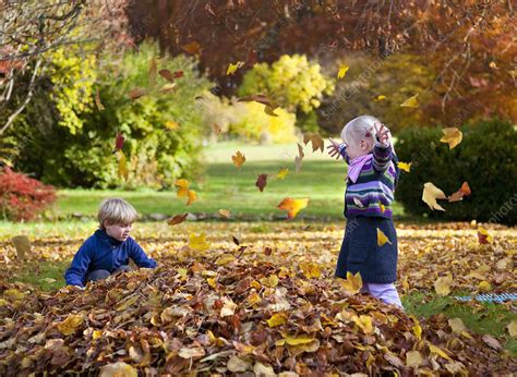 Children Playing In Pile Of Leaves Stock Image F0051408 Science