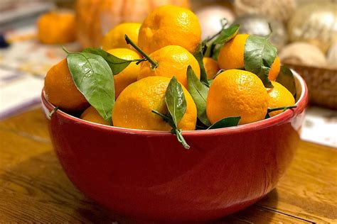 From Bergamot To Satsuma 15 Popular Types Of Oranges Tea Breakfast