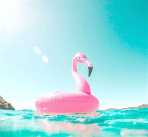 Shop for pink flamingo pool float online at target. 15 Fun Floats for Your Pool Party - Whispered Inspirations