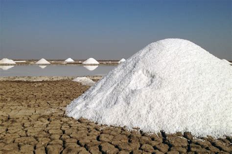 Desert Salt Farmers In Gujarat Feel The Heat From Climate Change