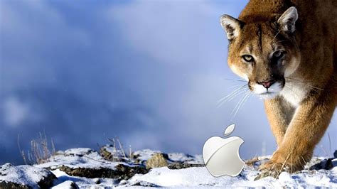 Mac OS Snow Leopard Wallpaper