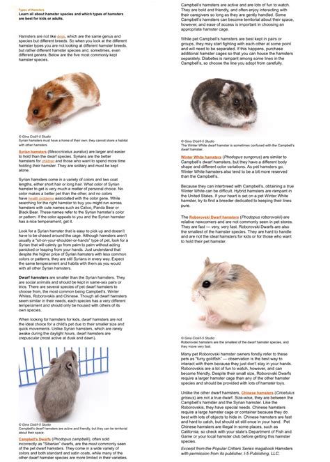 Types Of Hamsters Hamster Species Hamster Habitat Hamsters As Pets
