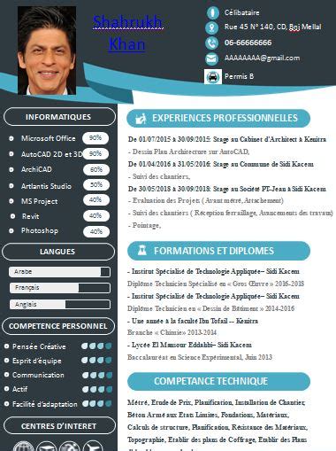 Télécharger un exemple de CV professionnel | Cours génie ...