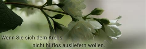 Und natürlich spielt unsere schulband weihnachtsmusik. Über mich - Heilpraktikerin - Leben mit Krebs