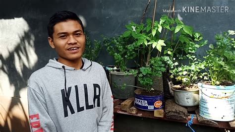 Wa innal laaha lama'al muhsineen (section 7). Tafsir Sains Tentang Surat Al-Ankabut Ayat 63 - YouTube