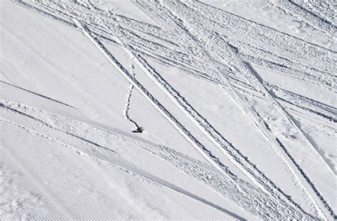 Ski Track Texture Stock Photos Pictures And Royalty Free Images Istock